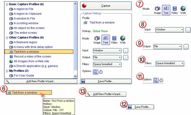SnagIt Capture Profile Properties will display in the form of a tool tip. Properties include such things as the hotkey, input, output, and filters.