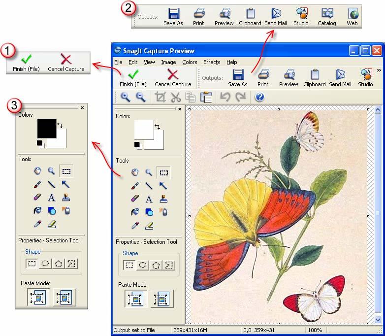 Getting Started Guide SnagIt Preview Window Overview Preview Window allows you to preview and edit a screen capture before it is saved to a file or inserted into your document or email.