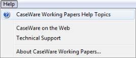 4. Working Papers Support CaseWare provides users with various resources for product support through online material, contextsensitive help, and a dedicated Technical Support team. 4.