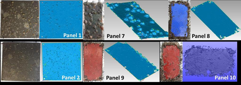 Biofouling Laser scan biofouled panels to capture geometries of biofouling organisms