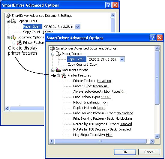Using the printer driver 3-7 E Figure 3-4: Advanced Options, Windows 2000 and XP If the selections you want to use are not available (are grayed out), make sure the feature is available in the
