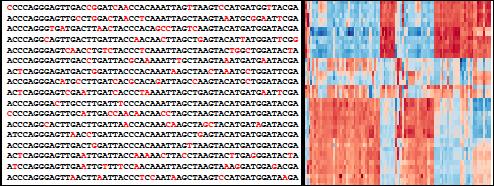 Gene expression data Network of molecular regulatory interactions Genetical genomics data