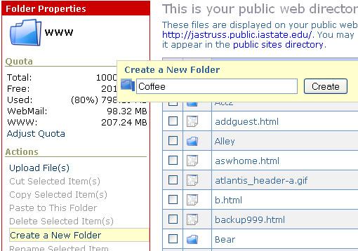 If you have never created a Web (WWW) folder for your ISU Netid: 1. Click on Manage Net-ID 2. Click on View/Edit your personal Web Page Settings. 3.