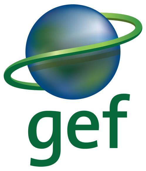 The GEF and the Climate Change Convention Longest operating climate fund Operating entity of the Financial Mechanism (GEF serves the Paris Agreement) Manages climate funds under the Convention Least