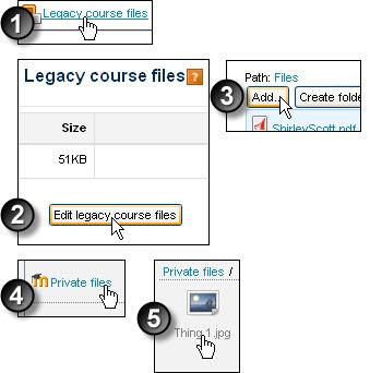 UNSW Mdle 2 staff step by step instructins 47 T use a private file in a curse: T use a private file within ne f yur curses, g t the Legacy curse files page and uplad the file frm the Private files