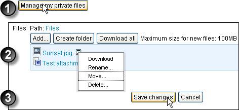 UNSW Mdle 2 staff step by step instructins 48 T rganise private files: 1. On the My private files page, click Manage my private files. 2. On the editing page, yu can: Add new files t the flder r Create flder as needed.