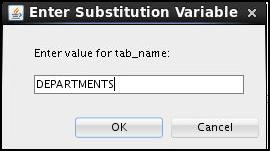 Prompt the user to enter the table name. Give appropriate aliases to the DATA_PRECISION and DATA_SCALE columns.
