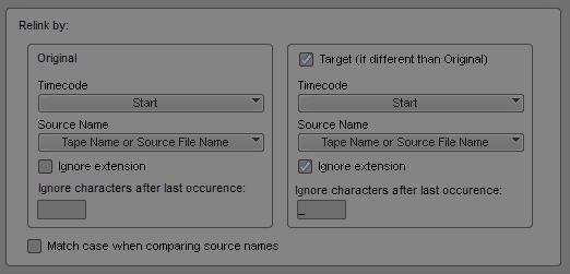 Depending on the application, the interpretation of the Source File name can be different, or left to you to define.