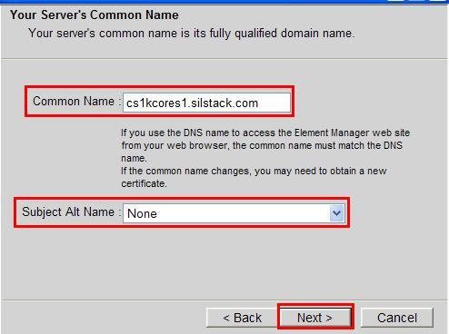 In sample configuration, SIL was used On the Your Server s Common Name window, enter the following values and click Next.