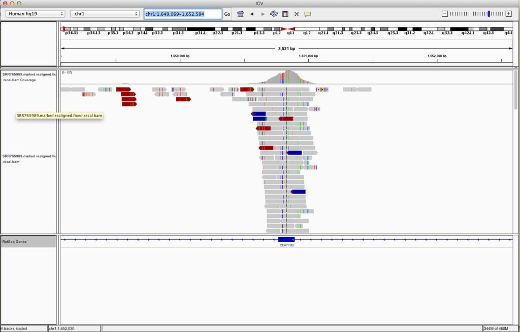 Visualization Broad Institute have developed the Integrative Genome Viewer (IGV) for the visualization of
