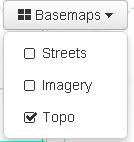 Basemap Options In the top right hand corner of your map, there are three check boxes that allow different viewing options (shown on the right).