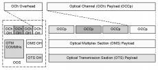 ing activation and De-activation is done through the TCM/ ACT channels. This provides path layer protection, such as optical channel shared protection rings in the optical domain.