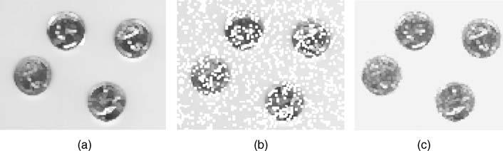 4.4 FILTERING FOR NOISE REMOVAL 95 Figure 4.6 Order filtering (max, order ¼ 25, 5 5) applied to the (a) original, (b) salt and pepper noise and (c) Gaussian noise images of Figure 4.