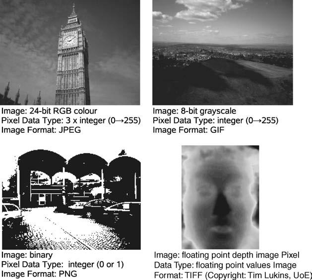 8 CH 1 REPRESENTATION Figure 1.4 Examples of different image types and their associated storage formats appearance.