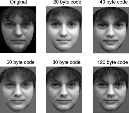 9.15 KEY EXAMPLE: EIGENFACES AND THE HUMAN FACE 261 Figure 9.