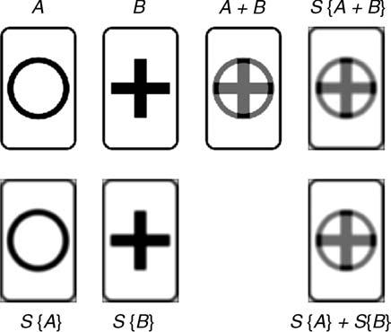 24 CH 2 FORMATION Figure 2.3 Demonstrating the action of a linear operator S.