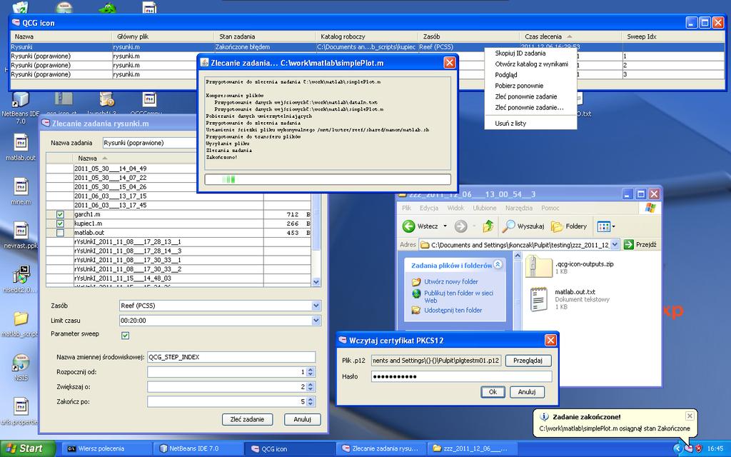 Figure 4. QCG-Icon graphical user interface.