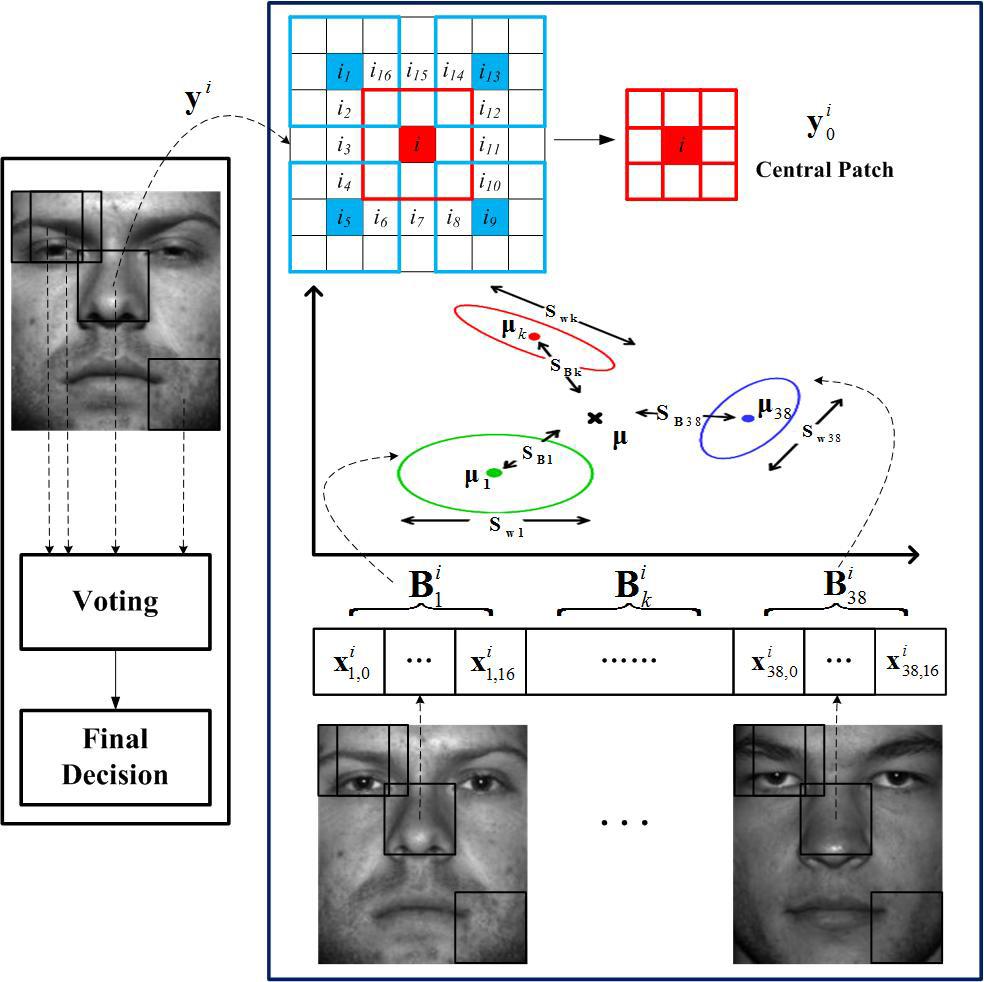 6 Fan Liu 1, Ye Bi 1, Yan Cui 2, Zhenmin Tang 1 Fig. 4. Diagram of local similarity based linear discriminative and analysis for face recognition. As shown in Fig.