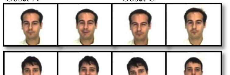 We use two different face recognition databases: AR database [19] and FERET database [20]. These two databases have lots of sample images which are taken in different conditions.