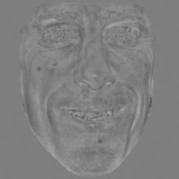 = Figure 1. Face high resolution image obs of 256 256 pixels is reconstructed by the model in coarse-tofine.