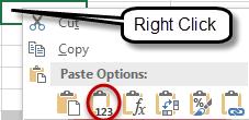 The following options are available when pasting values by selecting the Paste Special option from the right click menu;