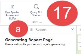 Once selected, a Generating Report Page (a) will
