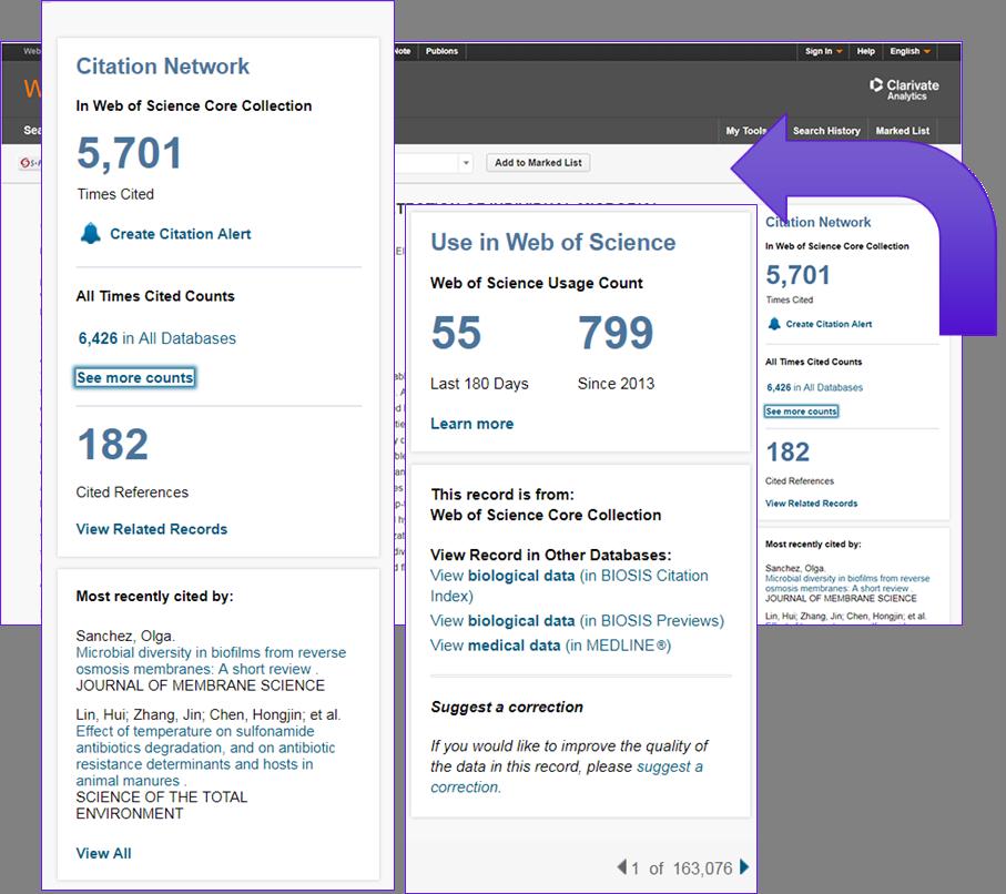 Figure 8. Redesigned Citation Network emphasizes the most important metrics in a clean, modern design.