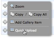 Select File to Upload - This is the image file that you will add to the gallery. 4. Summary and Release date are not output by default. 5. Publish the Image. 6.
