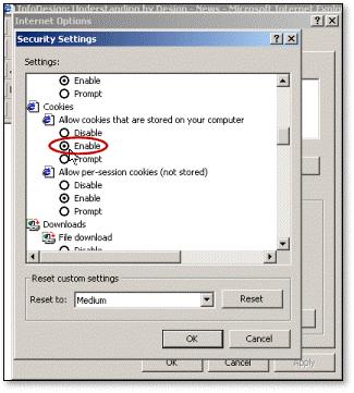 Suggested Browser Settings 4 Click OK to close the Security Settings