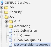 Exercise 3: Job submission (3) Enabling Grids for E-sciencE Finding available resources From the Main menu choose "Job Services" Choose "List Available Resources" Specify the previously created JDL