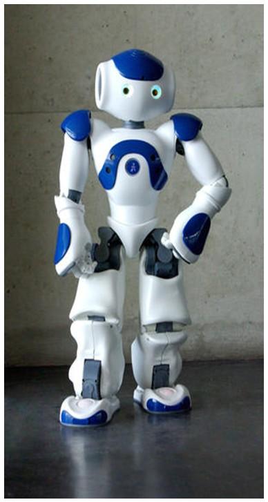 Figure 2.1: Aldebaran s Nao Humanoid Robot with its various Degrees of Freedom nication components of the robot.