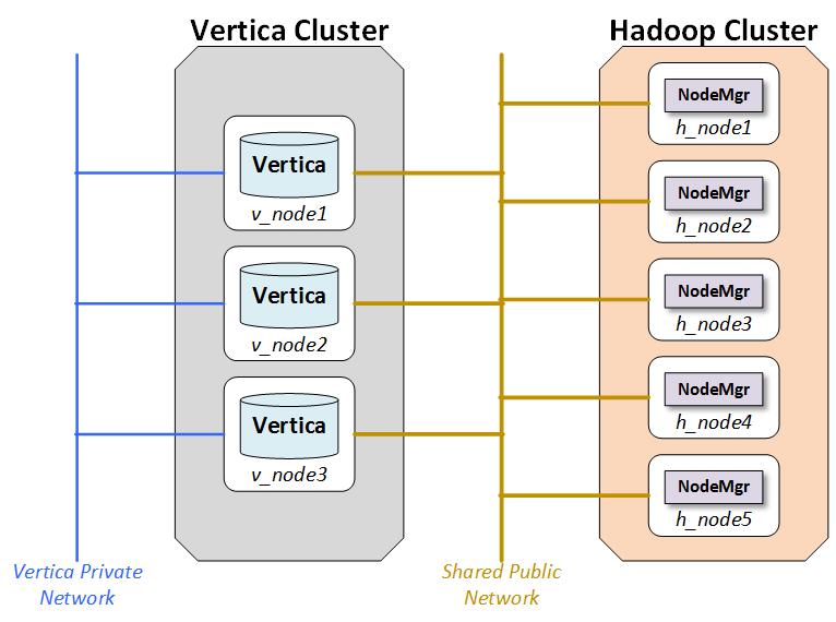 Cluster Layout The network is a key performance component of any well-configured cluster. When Vertica stores data to HDFS it writes and reads data across the network.