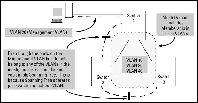 The Management VLAN feature does not control management access through a direct connection to the switch's serial port.