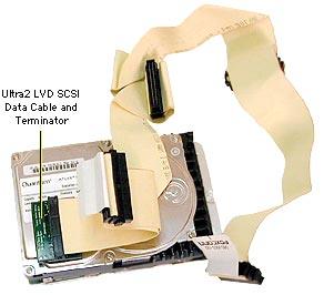 Take Apart Hard Drive, Ultra2 LVD SCSI - 56 7 If you re returning the drive to Apple, remove the SCSI data cable and terminator
