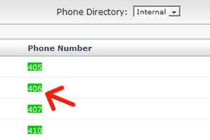 CALL A NUMBER FROM A WEB APPLICATION From web browser page (BROWSER): All numbers