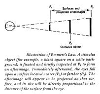 Size constancy: Given the size of the image on the retina (visual angle) and its distance, it is possible to compute the physical size of an object Depth Perception 8 The Holway-Boring experiment:
