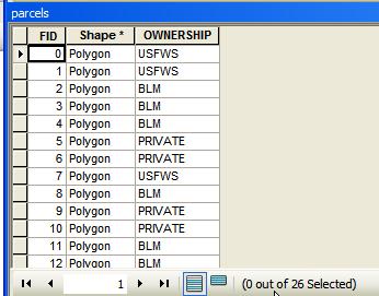 As an example, create a new data frame and add the polygon theme Parcels to your new data frame.