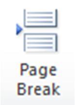 Breaks Breaks end a page, column, or section of your document. To insert a page break, select the Page Break icon from the Insert tab.