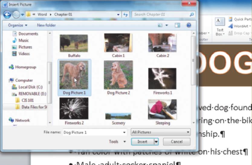 WD 3 Word Chapter Creating, Formatting, and Editing a Word Document with Pictures 3 Navigate to the picture location (in this case, the Chapter 0 folder in the Word folder in the Data Files for