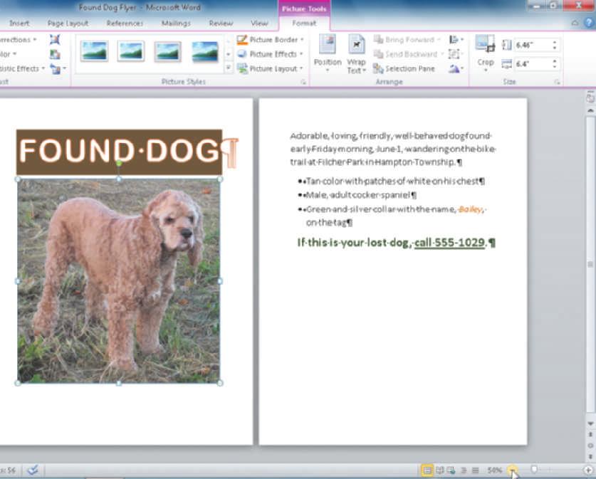 To Zoom the Document Creating, Formatting, and Editing a Word Document with Pictures Word Chapter WD 33 The next step is to reduce the size of the picture so that both pictures will fit side-by-side