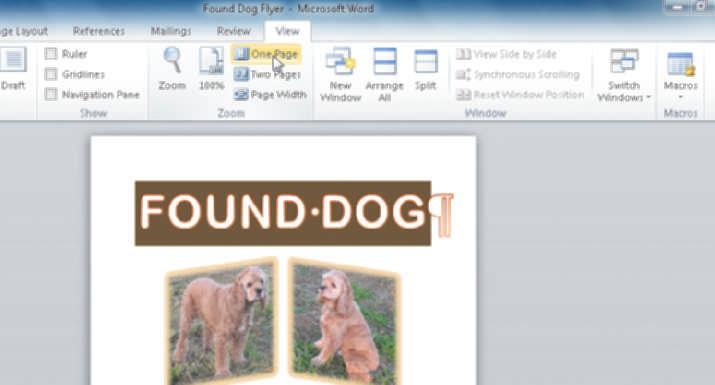 Creating, Formatting, and Editing a Word Document with Pictures Word Chapter WD 4 entire page is displayed in document window Zoom group View tab One