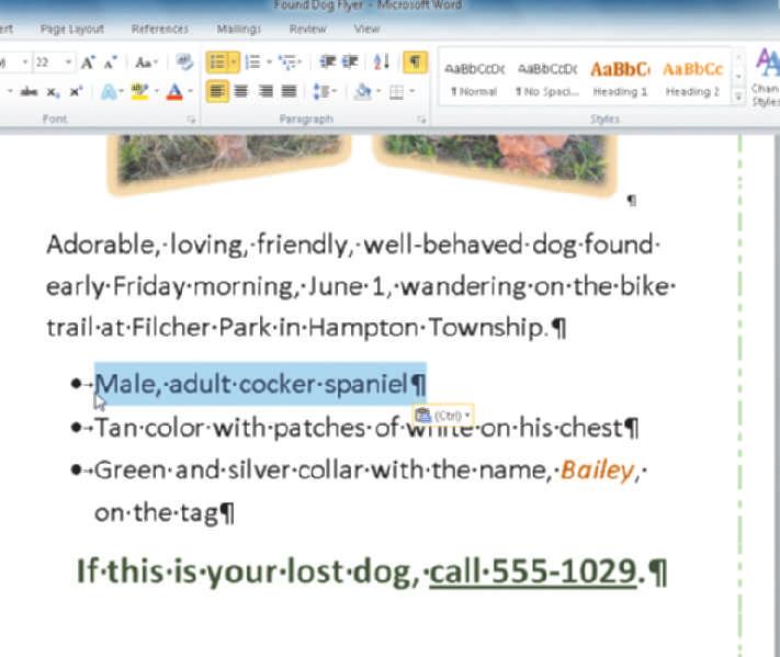 WD 48 Word Chapter Creating, Formatting, and Editing a Word Document with Pictures Drag the dotted insertion point to the location where the selected text is to be moved, as shown in Figure 67.