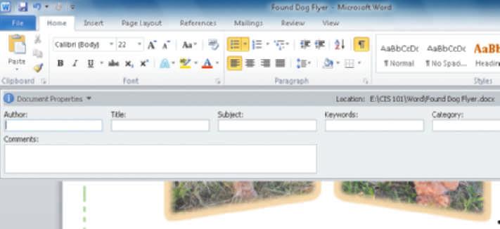 WD 50 Word Chapter Creating, Formatting, and Editing a Word Document with Pictures Click the Properties button in the right pane of the Info gallery to display the Properties menu (Figure 70).