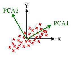 Figure 9: PCA with two principal components 5.2.1. Parameterized Linear Model Supposing that we have m FFDs described as control point vectors C 1,.