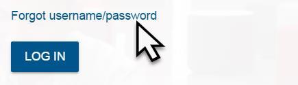 RETRIEVING YOUR USERNAME OR PASSWORD 1. If you cannot remember your username or password, you may retrieve them by clicking on the Forgot username/password link 2.