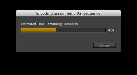Finally after checking all these setting hit the Export button and you project will be rendered into a standalone Quicktime movie.
