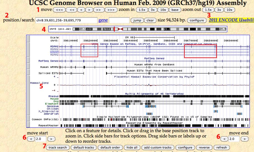 Last updated: May 12, 2011 Tutorial 1: Exploring the UCSC Genome Browser Open the homepage of the UCSC Genome Browser at: http://genome.ucsc.edu/ In the blue bar at the top, click on the Genomes link.