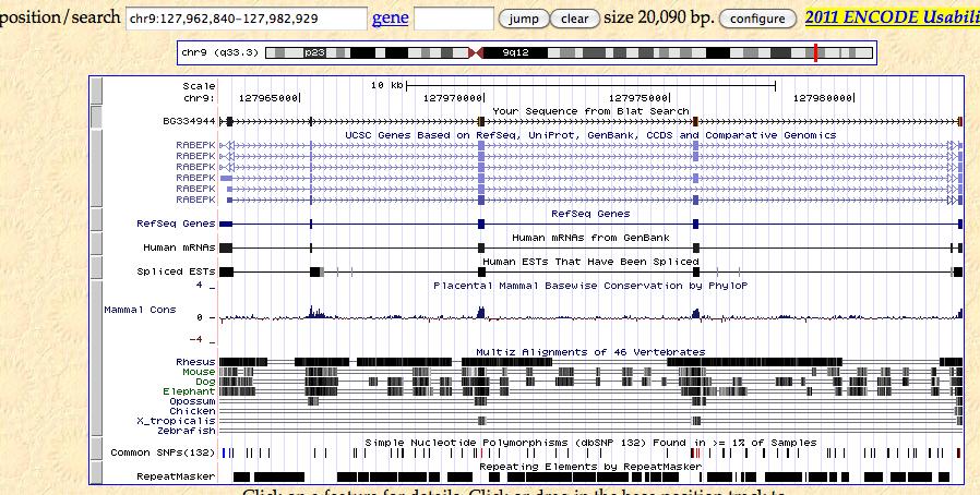 Figure 6: Browser view of the alignment of EST BG334944 to chromosome 9. Approximately halfway down the graphic is a track labeled Human ESTs That Have Been Spliced.