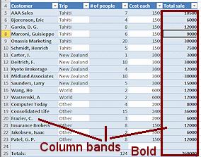 The tab group Table Style Options has check boxes for special types of rows and columns.