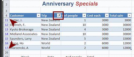 Look at the row headings. Numbers between 15 and 26 are missing! Only rows with a Trip value of New Zealand or World are visible.